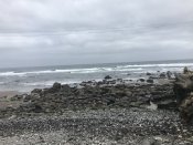 C0AEA587-A5AF-40B2-8D8A-FA9317E18610.jpeg