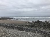 B5897874-4DB8-4EAE-8318-89BF745FB64D.jpeg