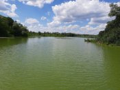 20200721_135608.jpg