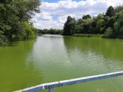 20200721_135513.jpg