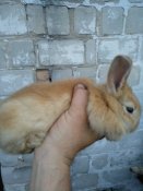 IMG_20200723_202515.jpg