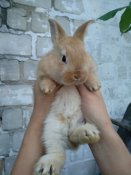 IMG_20200723_202532.jpg