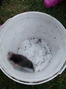 IMG_20200724_200154.jpg