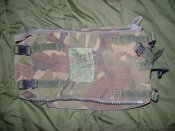 DSC02661.jpg