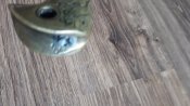 20200623_102931.jpg