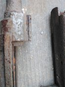 IMG_20200727_112318.jpg