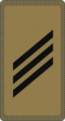 006_Obergefreiter OR-3_CH_camo.png