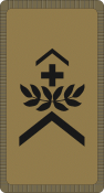 010_Wachtmeister OR-5b_CH_camo.png