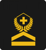 011_Oberwachtmeister OR-5a_CH.png