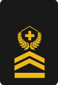 017_Hauptfeldweibel OR-7_CH.png