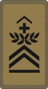 018-Hauptfeldweibel OR-7_CH_camo.png