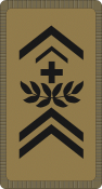 020_Adjutant Unteroffizier OR-8_CH_camo.png