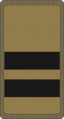 036_Oberstleutnant OF-4_CH_camo.png