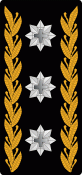 047_Korpskommandant OF-8_CH.gif