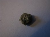 IMG_2044.jpg