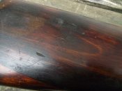 2013_02240004.JPG