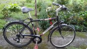 IMG_20200728_095633.jpg