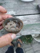 IMG_20200801_195136.jpg