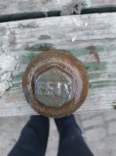 IMG_20200801_195129.jpg