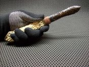 100_7176.JPG