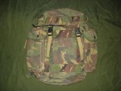 DSC07795.jpg