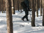 IMG_5970.jpg