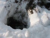IMG_5975.jpg