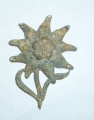 DSCI1267.JPG
