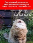 FB_IMG_1596383119131.jpg
