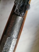 IMG_20200802_113151.jpg