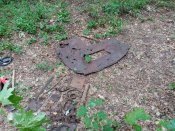 IMG_20200802_173034.jpg