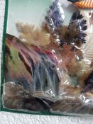 20200803_180415.jpg