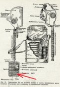 tumblr_lh1fhqYsGw1qa5cluo1_400.jpg