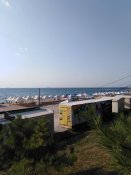 IMG_20200807_075822.jpg