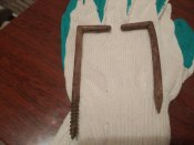 IMG_20200808_071443.jpg