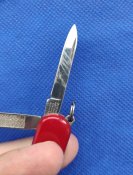 IMG_20200808_174105.jpg