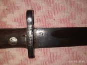 IMG_20200805_210321.jpg