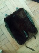 изображение_viber_2020-08-08_12-52-59.jpg