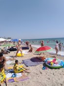 IMG_20200807_113703.jpg