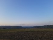 20200806_063147.jpg