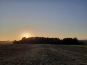 20200806_063154.jpg