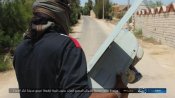 sinai2.jpg