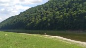 IMG_20200809_150834.jpg