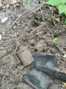 IMG_20200802_155120.jpg