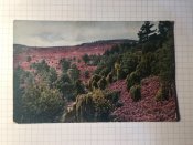 Открытка(1)