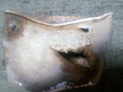 IMG_20200810_135421.jpg