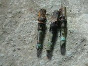IMGA0185.JPG