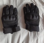 IMG_20200810_130847.jpg