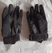 IMG_20200810_130911.jpg