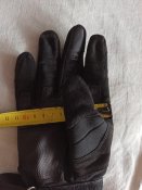 IMG_20200810_131052.jpg